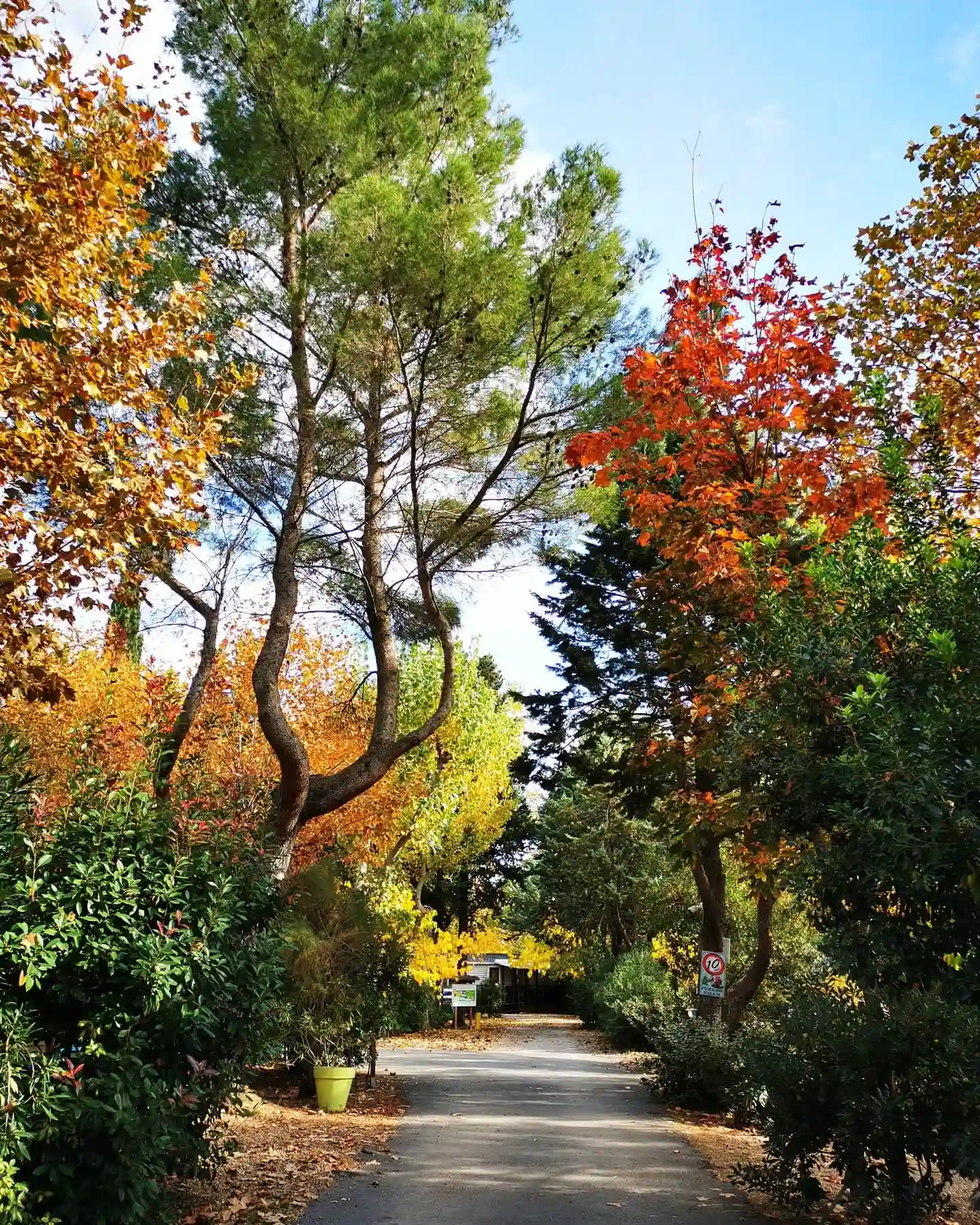 exterieur camping automne